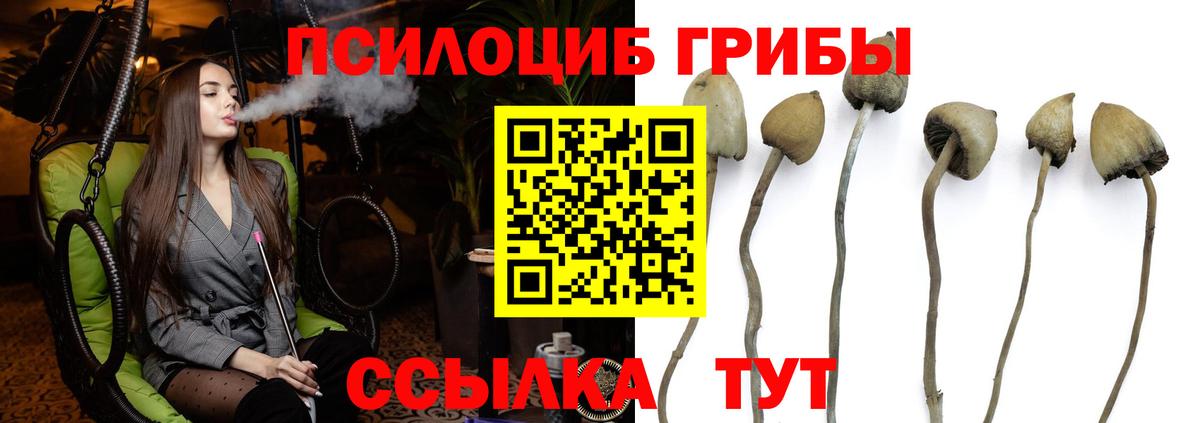 Галлюциногенные грибы GOLDEN TEACHER  Галлюциногенные грибы ЛСД  Шали  Вход с VPN 